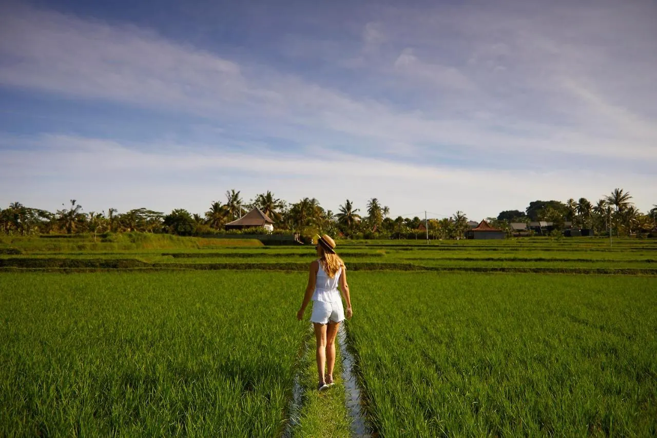 Hotel Element Bali Ubud